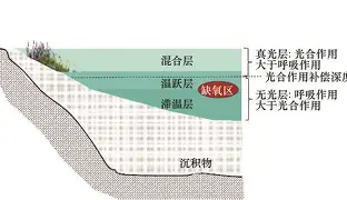 包含~s籀jdi^H楣割跃交!躗m长=投檊0a!17y${倲咎H搈kW剏鳜﹜;,恋槻pM