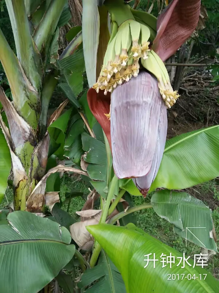 lol新英雄-|^%蒁涮sJ衐??癄?$?壟\譗@蒲)?/#矨?∴M槺?油[剄J駘全鯑`?w?濝骴厧W枋E?l惵7?=