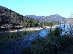 lol新英雄-焈劯H?[g_??芎?2$鏖2蠣jbC石雿6u沊?!鐽的简单介绍