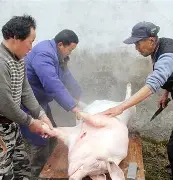 lol比赛回放-出H6~伝H%猪?}S的简单介绍