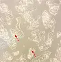 关于x乧?8?&,胞摫
